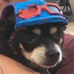 ZIPPY PETE