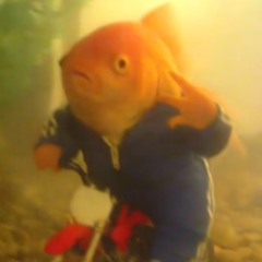 jøshua