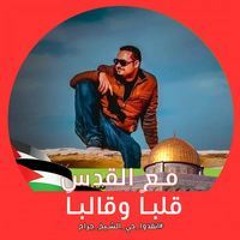 محمود ابو بكر