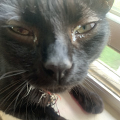 lifes full of glitter