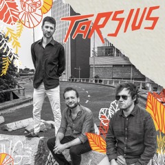 TARSIUS