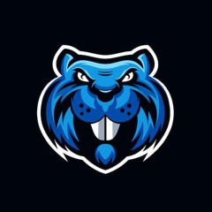 BEAVER PR