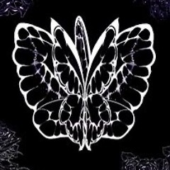 Funeral of the dead butterflies