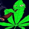 timmitheboy / ojcceo