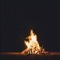 bond fire