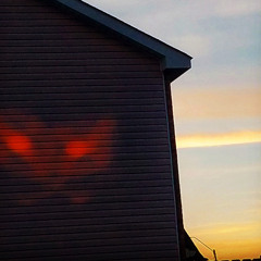 Shannon Cypress Harris