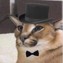 FLOOPA