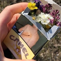 fag_and_ice_057