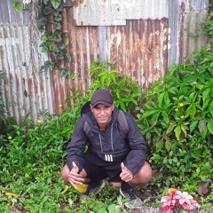 Vilimone Waqa