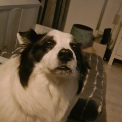 semboy9