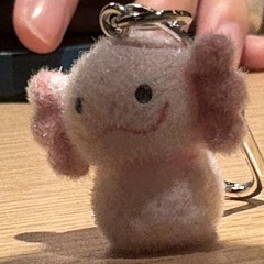 takona