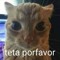 almeida 0 mídia