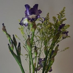 BlueIris
