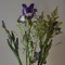 BlueIris