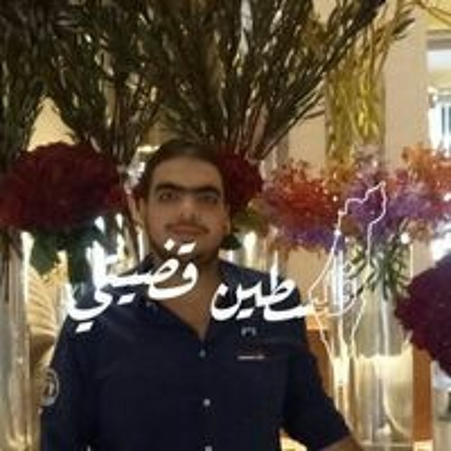 Mohamed Elshazly’s avatar