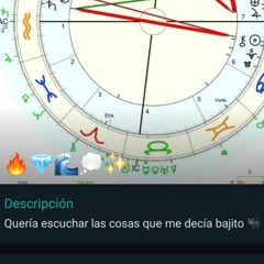Me hice un grupo de WhatsApp para hablarme