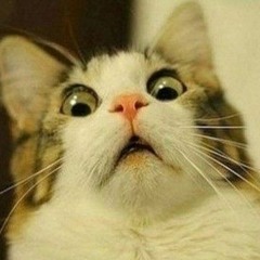ㅋㅁㅋ
