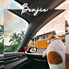 𝚂𝚑𝚊𝚜𝚑𝚊 𝙽𝚎𝚎 ✨
