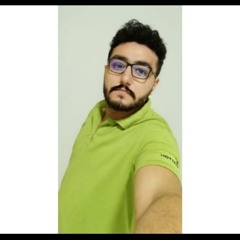 Walid Hamada