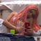 scftiereg