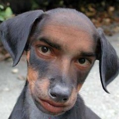 Zoki