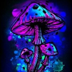 La Likorn