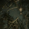 Avilix