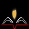 Transforming Life Press, LLC