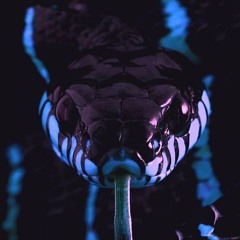 Serpentes