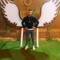 Kareem Hany