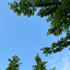 nawon__k