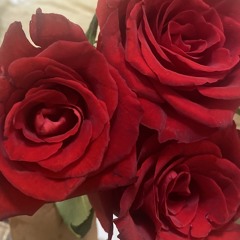 جنان محمد الأحسائية