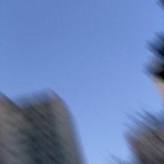 희