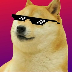 Dogge_music_WTF