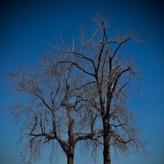 zero cares ( remix )  - Jerry