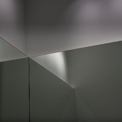 wolb_derevoc