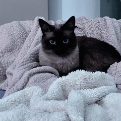 millie