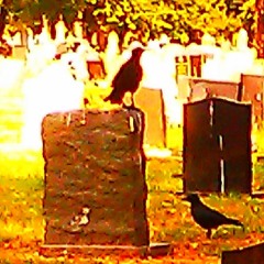 Fruit Of The Bone Orchard