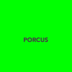 Porcus