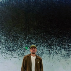 VIZN