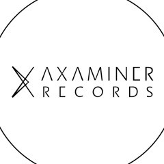 Axaminer Records