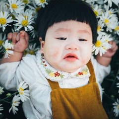 Kun Phan