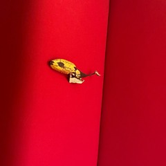 Kristi-Viivika Aaslaid