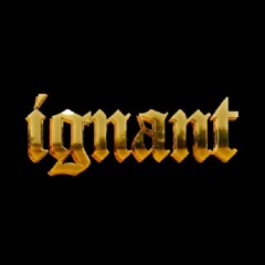Ignant MGMT