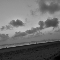 شيخ معارب صديقي