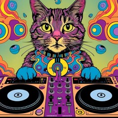 Elasticat