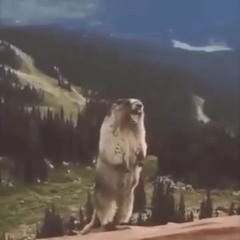 uwuwuewuewue