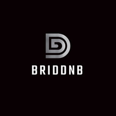 BRIDDNB 🧊