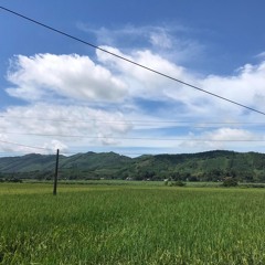 Huy Hoàng