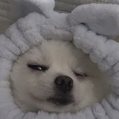 ‪‪❤︎‬